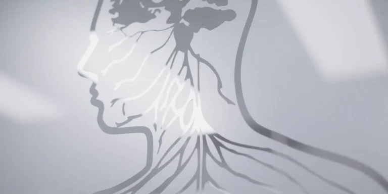 Cropped image of North Shore Radiology artwork on glass partition in clinic
